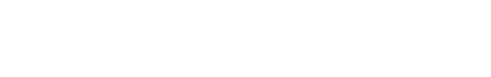 bhinternet-logo